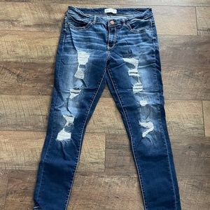 BKE Payton Jeans